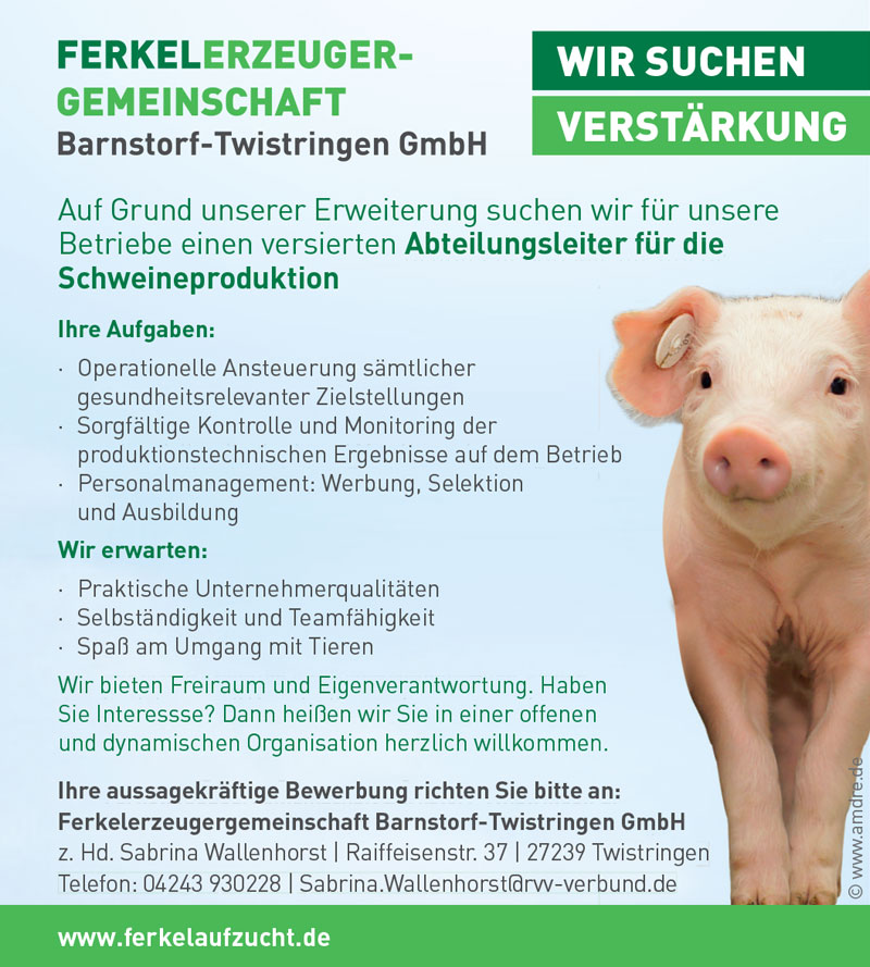 Abteilungsleiter (m/w) für die Schweineproduktion